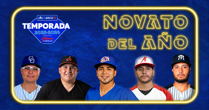 NOVATO DEL AÑO-WEB