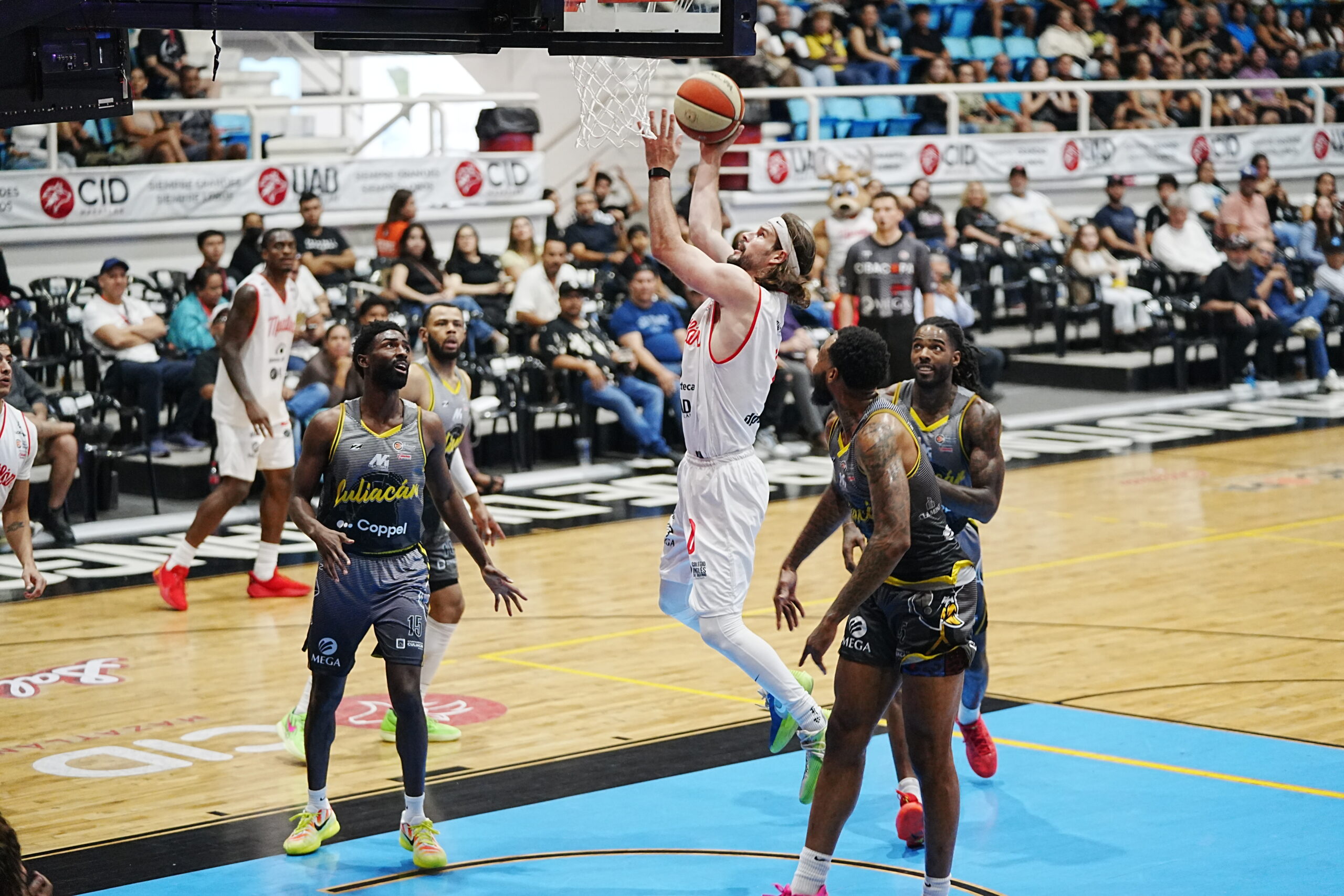 Venados Basketball regresa a casa y enciende el Lobodome