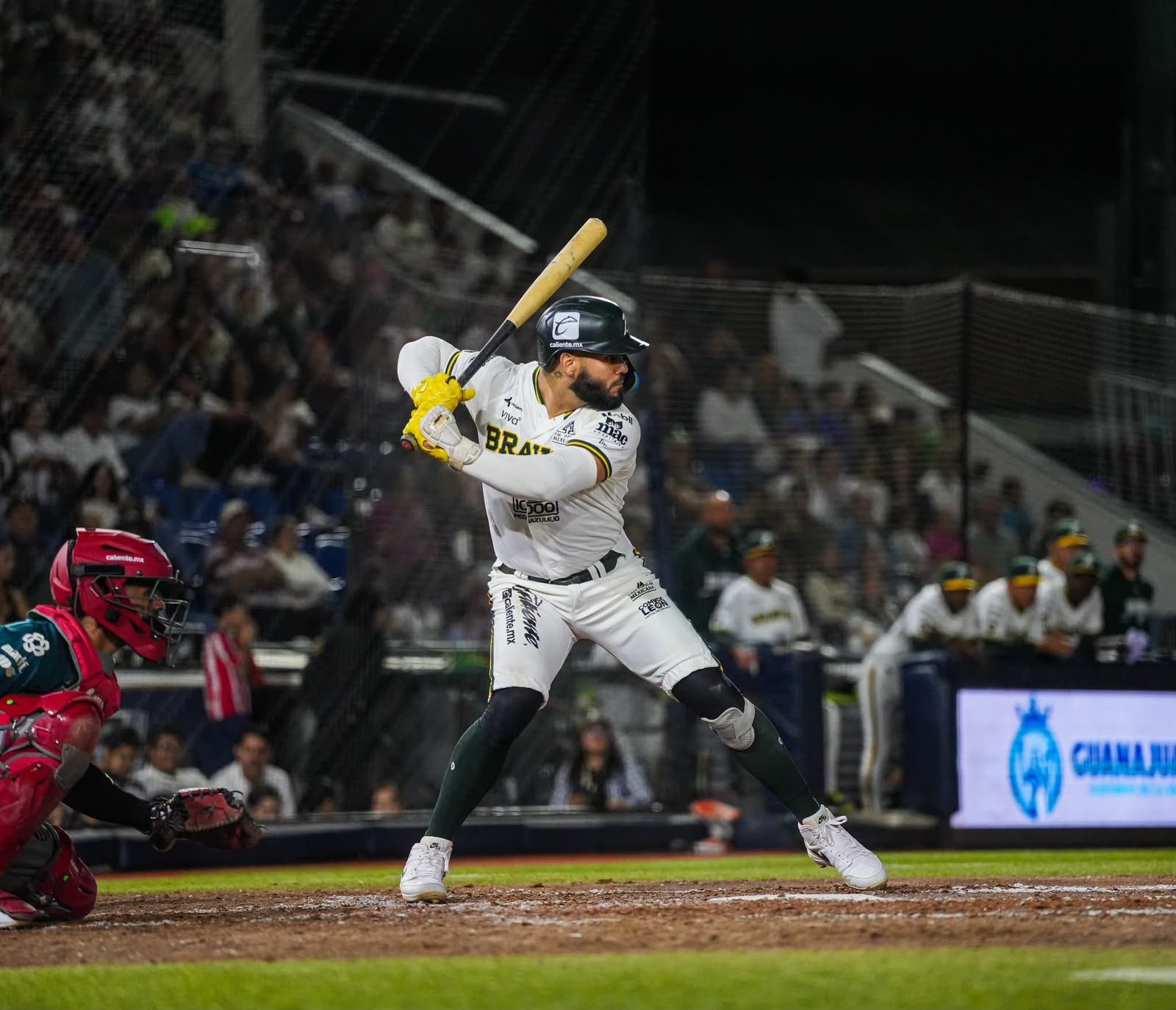 Venados rumbo a playoffs: el talento porteño sigue brillando en la LMB