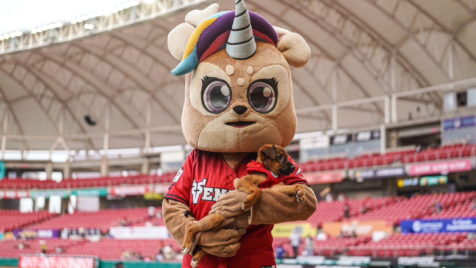 Venados y Ecología hacen equipo por las mascotas