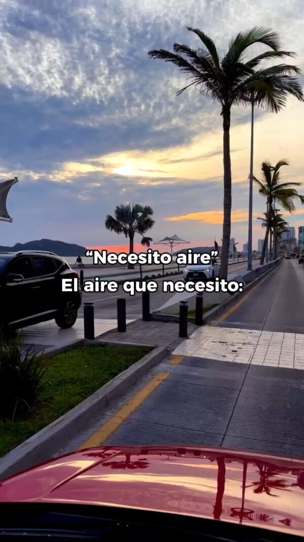 A veces solo necesitas el aire de Mazatlán. 🌊 ¿A quién le urge una vuelta…