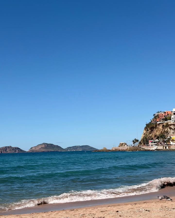 Para locales, un clásico. Para quienes vienen de visita, un imperdible. 🌊 Playa en Olas…