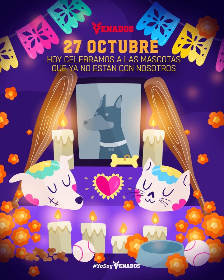 Hay amores que vivirán para siempre en nuestro corazón. 🤍🐈🐕🐾