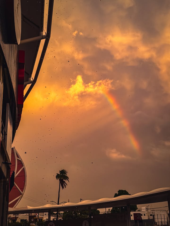 🌈✨ POSTAL DE ESTA TARDE EN EL PUERTO. 📸 Después de la lluvia, el Teodoro…